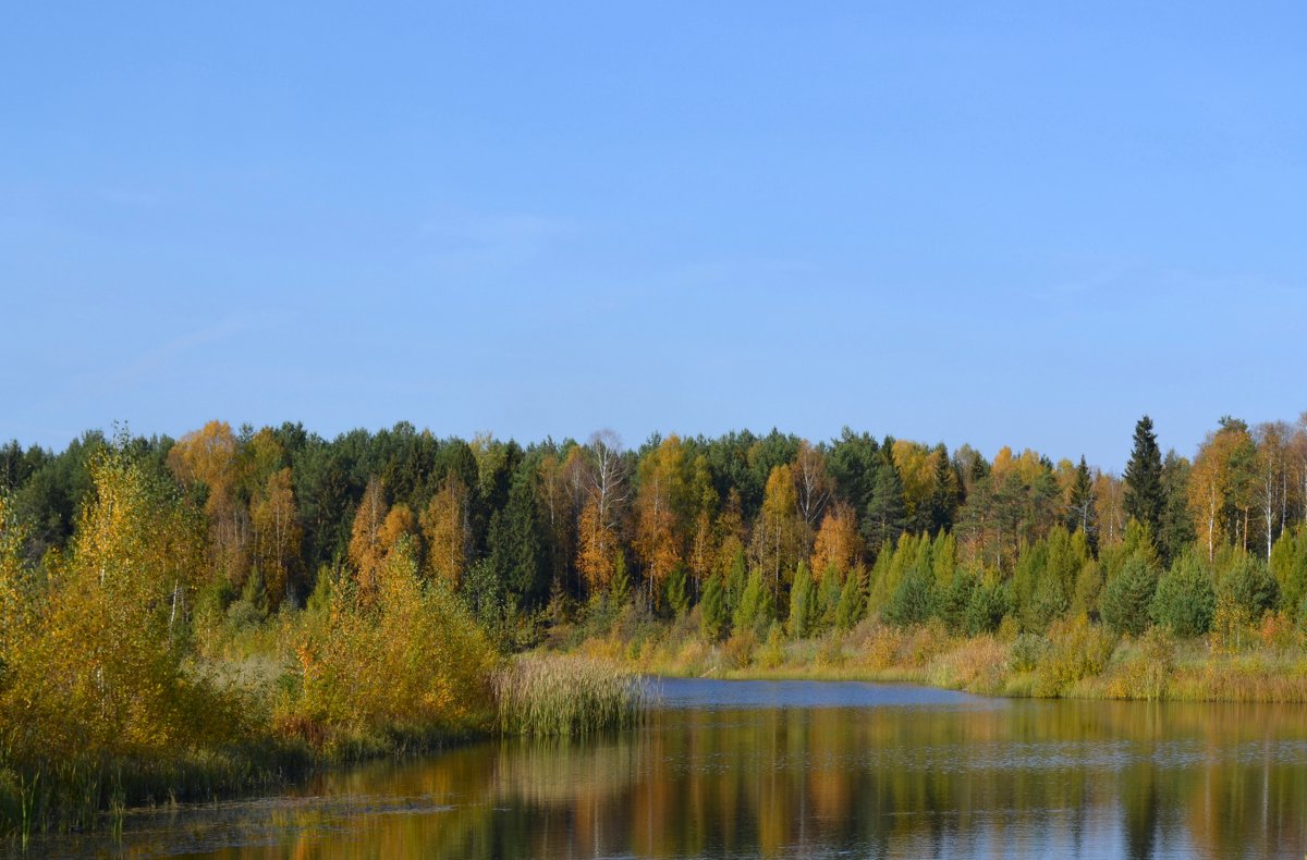 Осенний пейзаж - AndrewVK 
