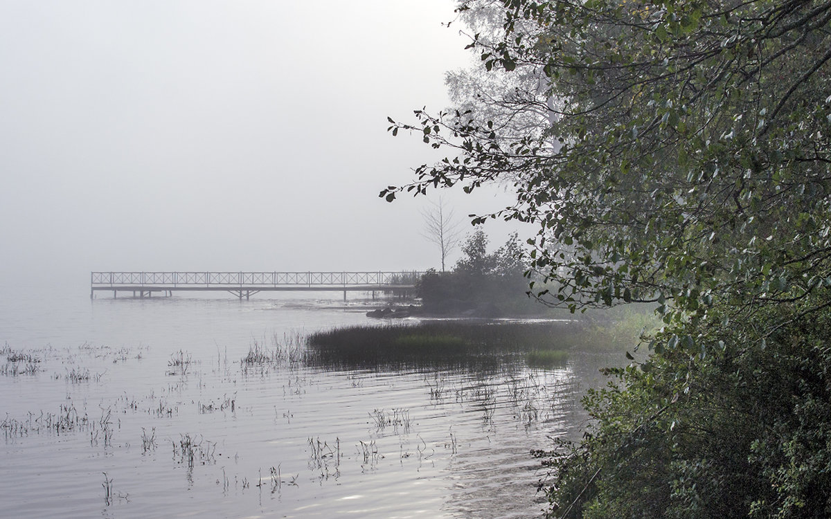 Туман на озере - Valerii Ivanov