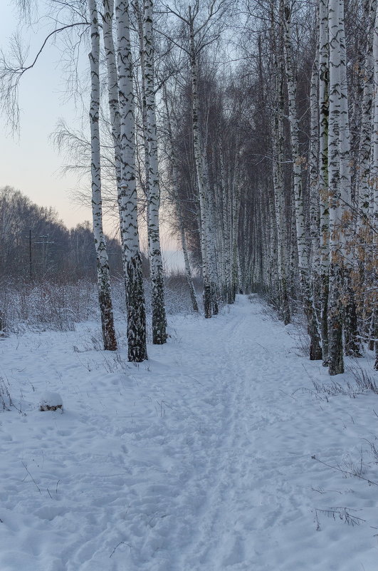 вспоминая восход солнца,зимы 2013 - Алексей -