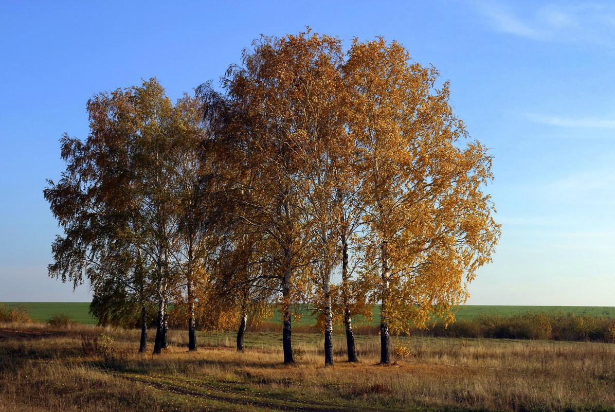 Осень - Вячеслав 