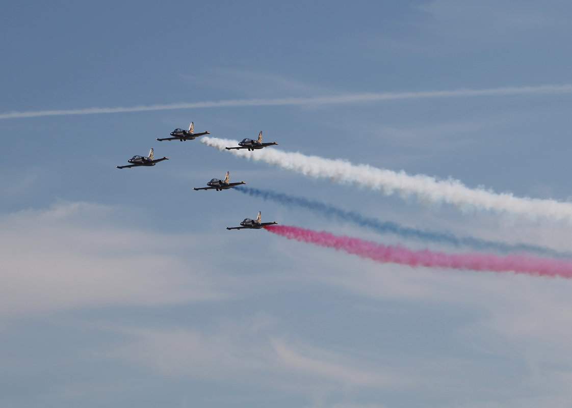 Пилотажная группа «Русь», Aero L-39 Albatros - Андрей Lyz