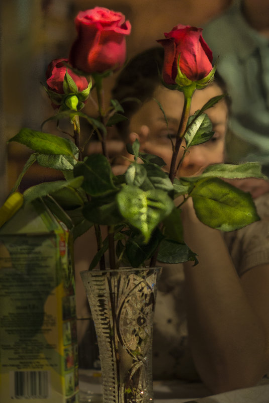 Цветы для Лизы - Аркадий Пазовский