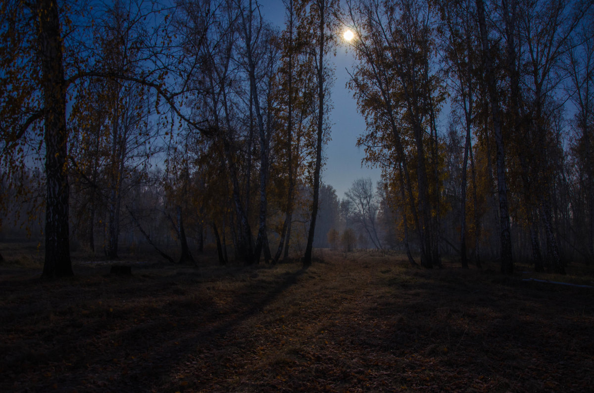лунный свет - Игорь Турукин