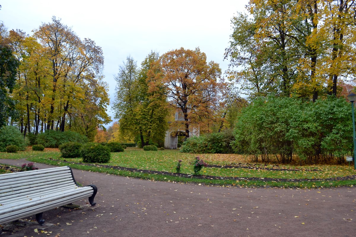 Осень в парке - Ольга 