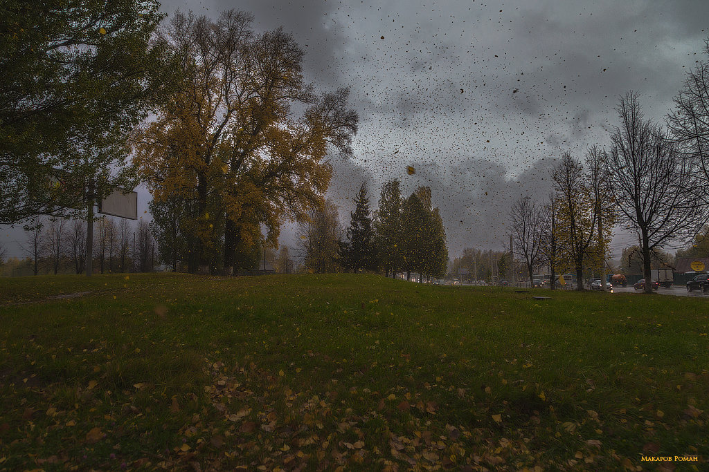 Ветер срывает листья ржавого октября. - Роман Макаров