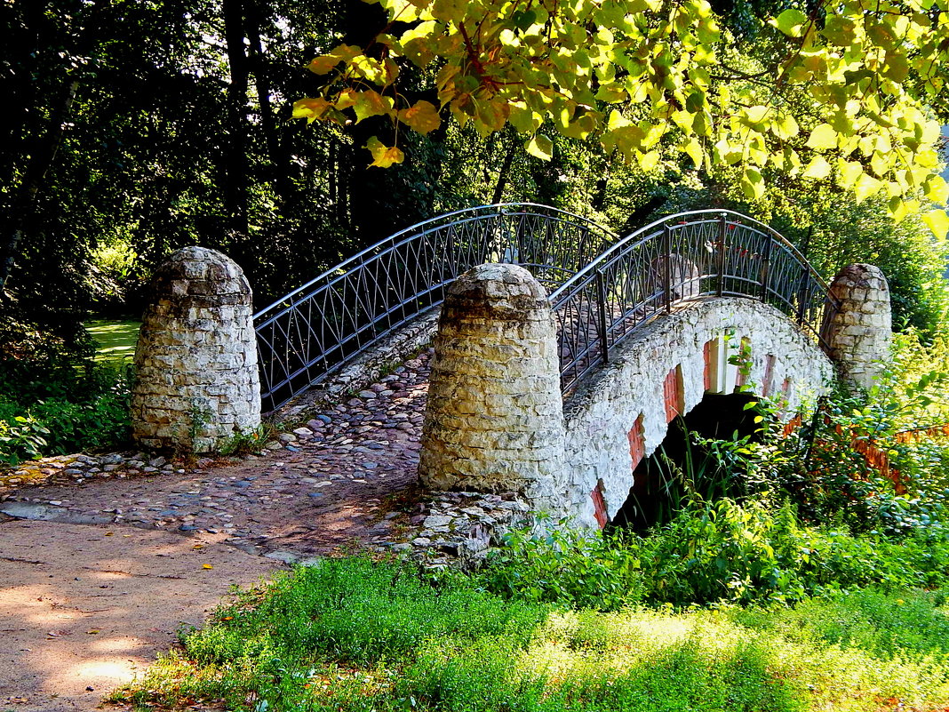 Парк Кузьминки мост