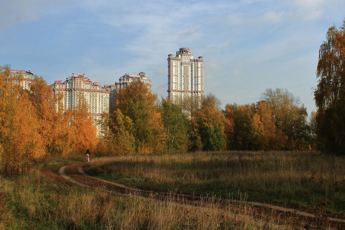 Городской пейзаж - Людмила Быстрова