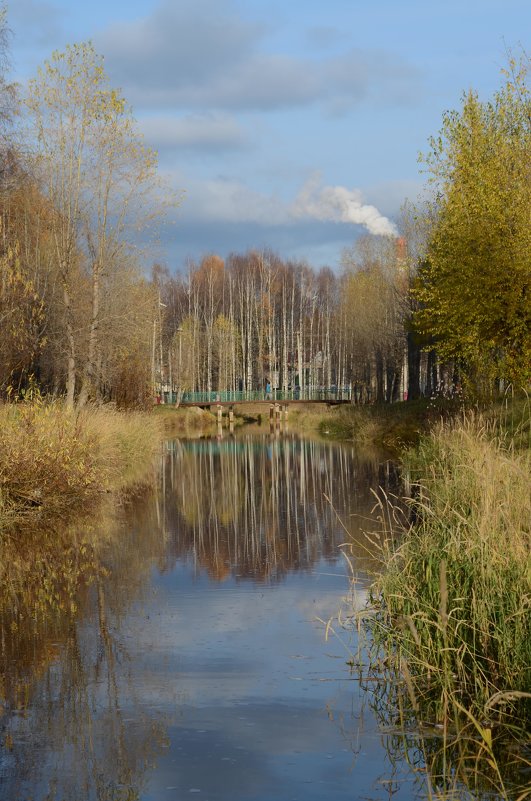 Парк в городе - Oksana Sambros