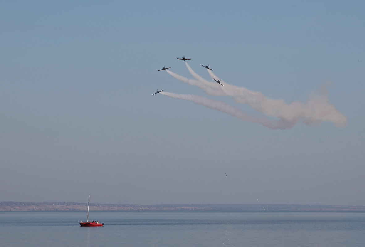 Пилотажная группа «Русь», Aero L-39 Albatros - Андрей Lyz