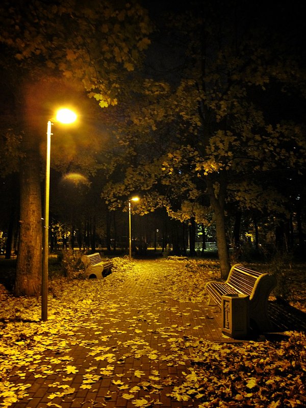 Ночь в парке... - Ирина Князева 