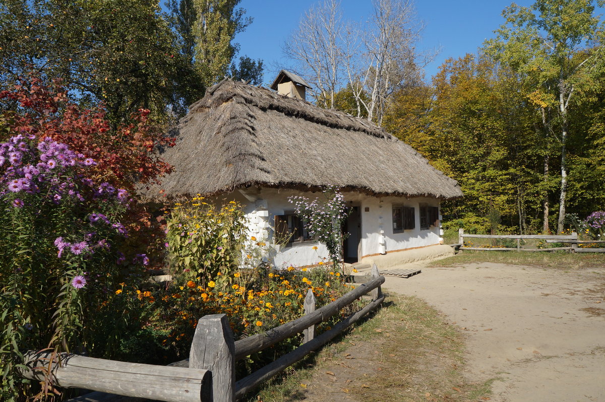 музей Пирогово - юрий 