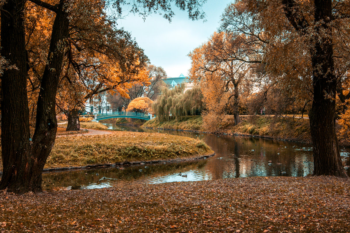 Осень в парке - Валентин Емельянов