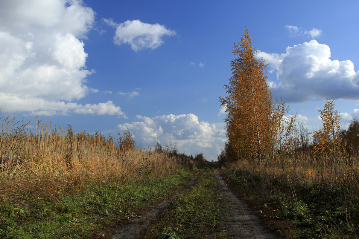 Дорога в осень 2 - Oleg S