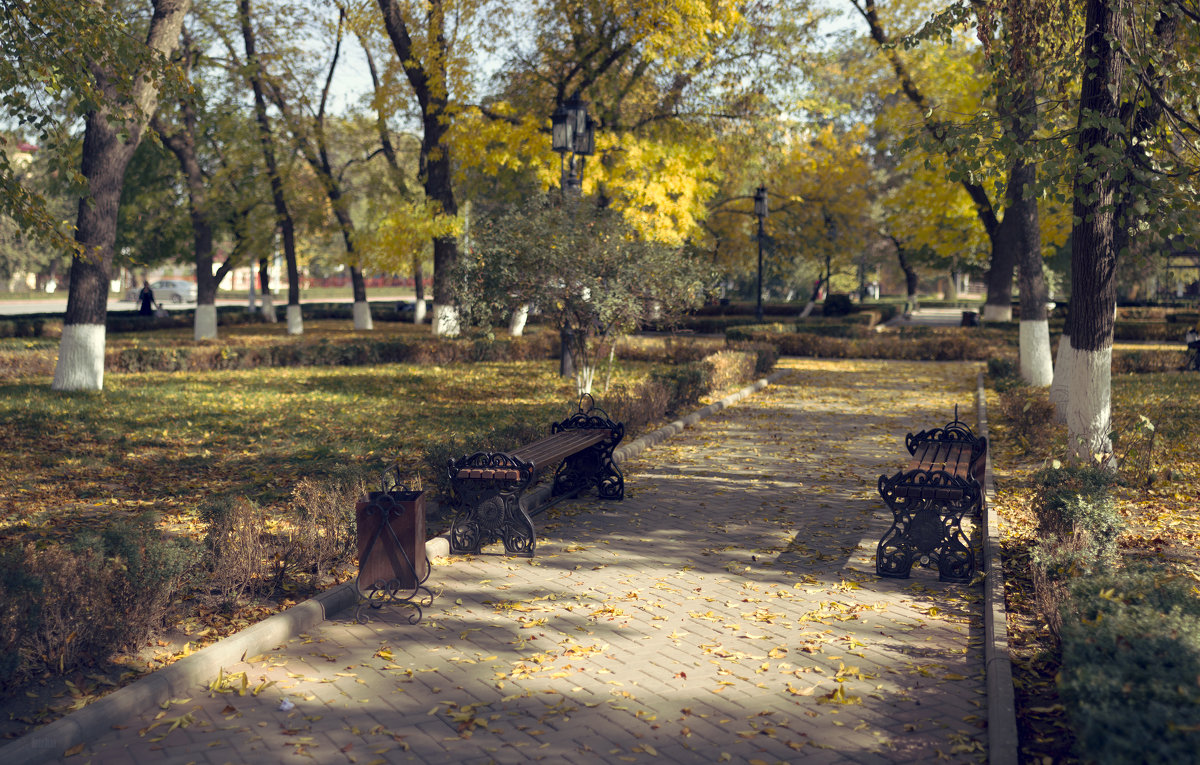 Осень в парке - Сахаб Шамилов