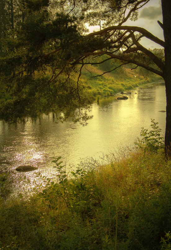 Река Олонка - Татьяна Гилепп