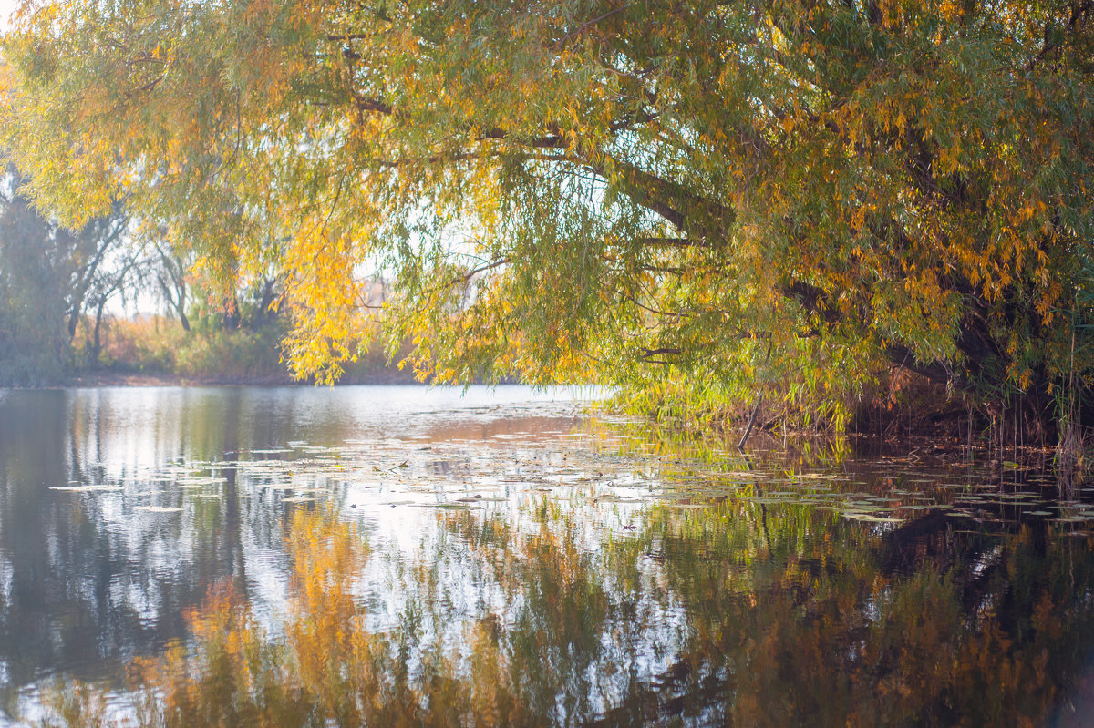 Осень на реке - Кристина Волкова(Загальцева)