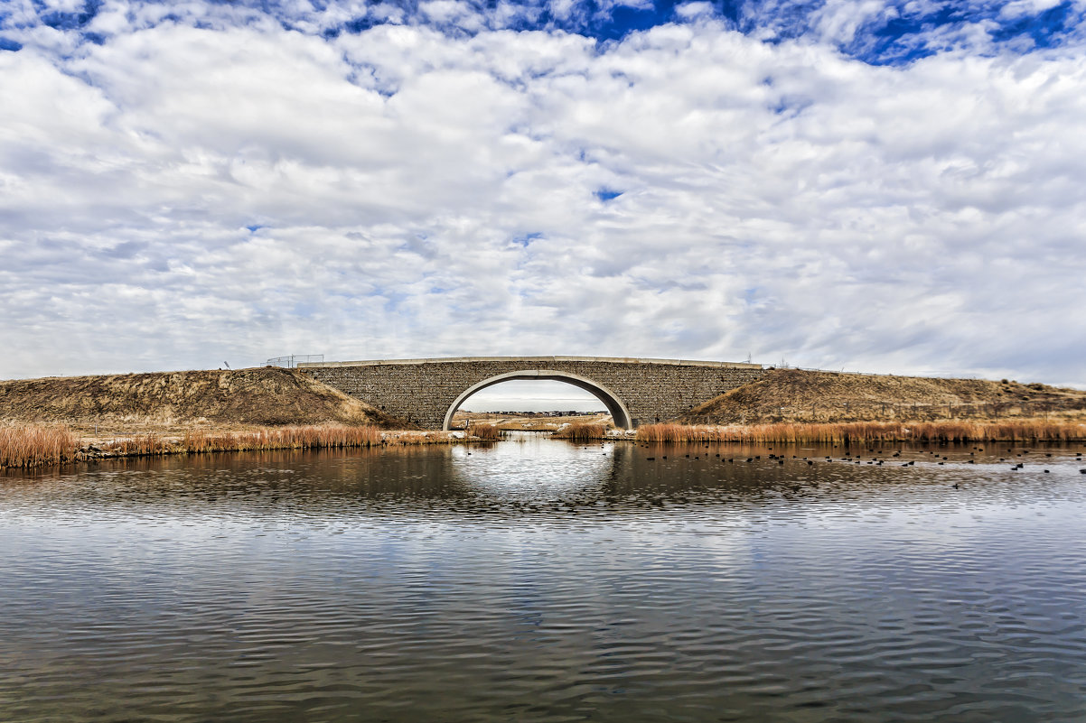 Мост - Iosif Magomedov
