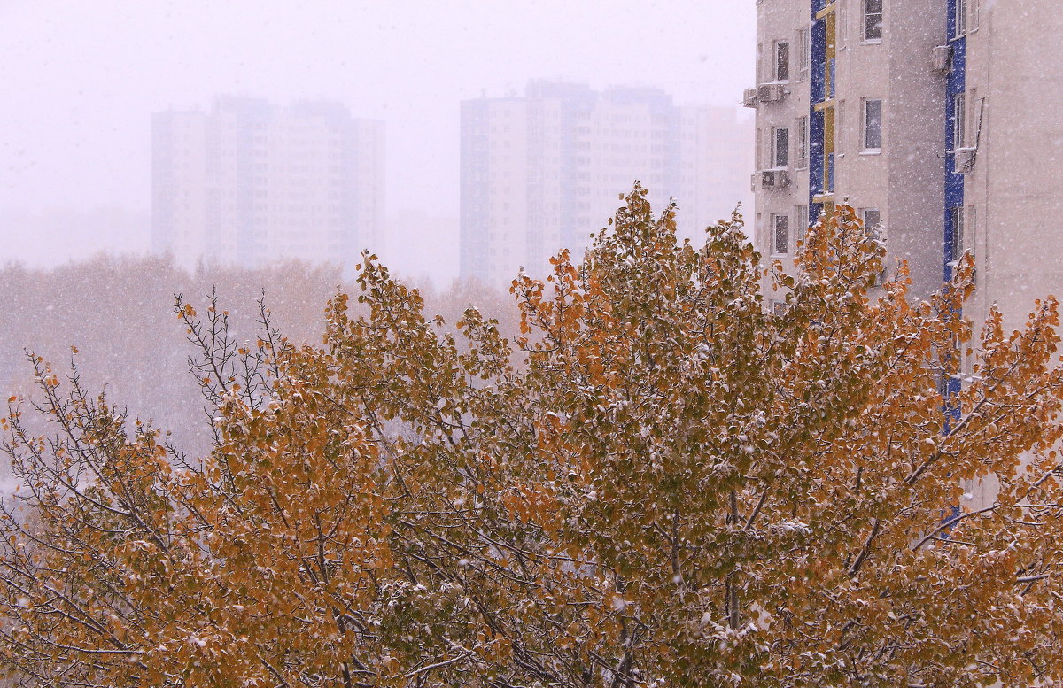 У природы нет плохой погоды - Татьяна Ломтева