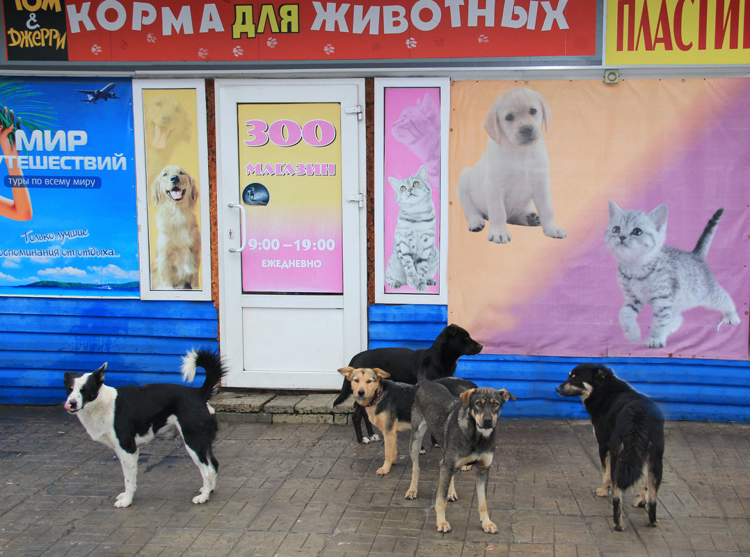 Место встречи... - Татьяна Нижаде