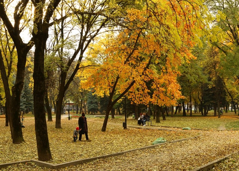 в парке - Игорь Kуленко