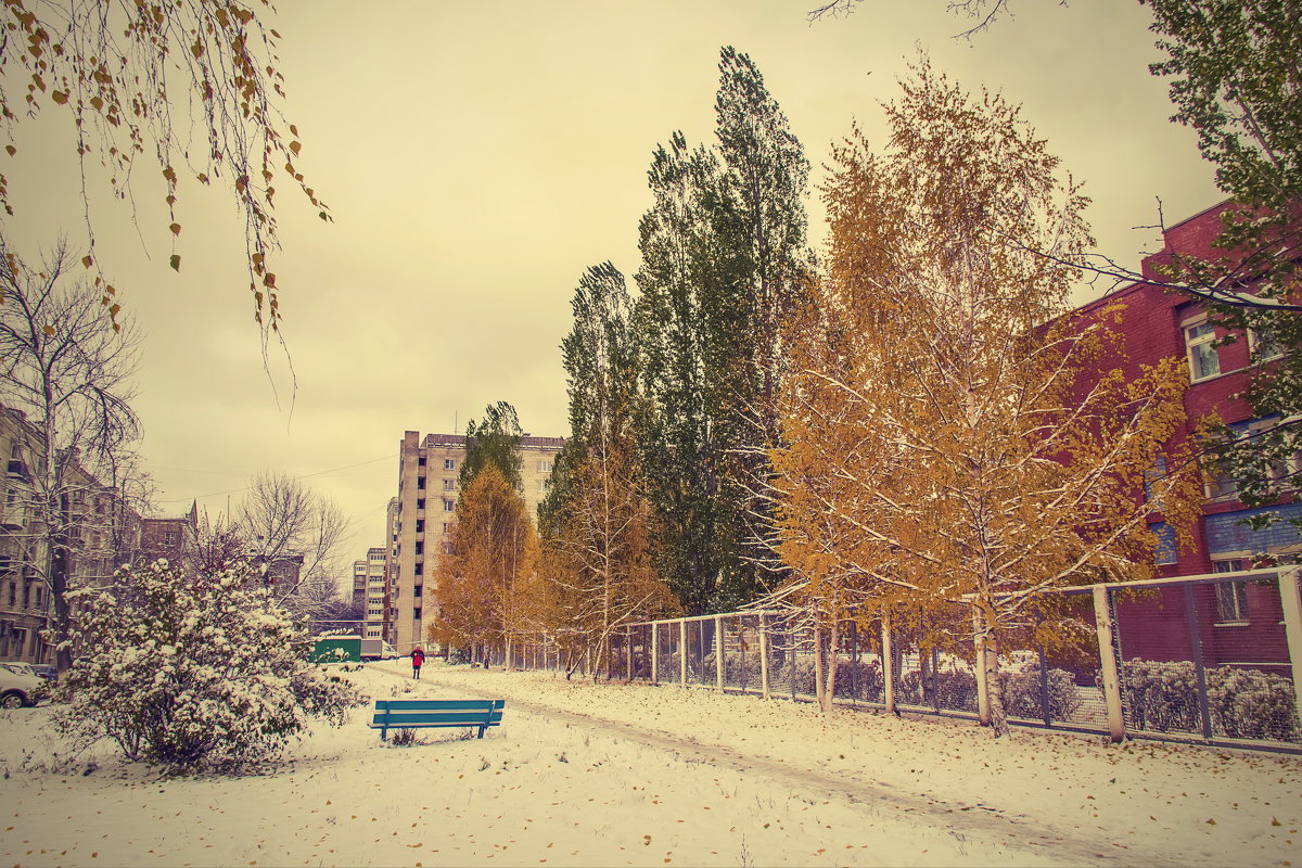 А у нас первый снег..... - Александр Зотов