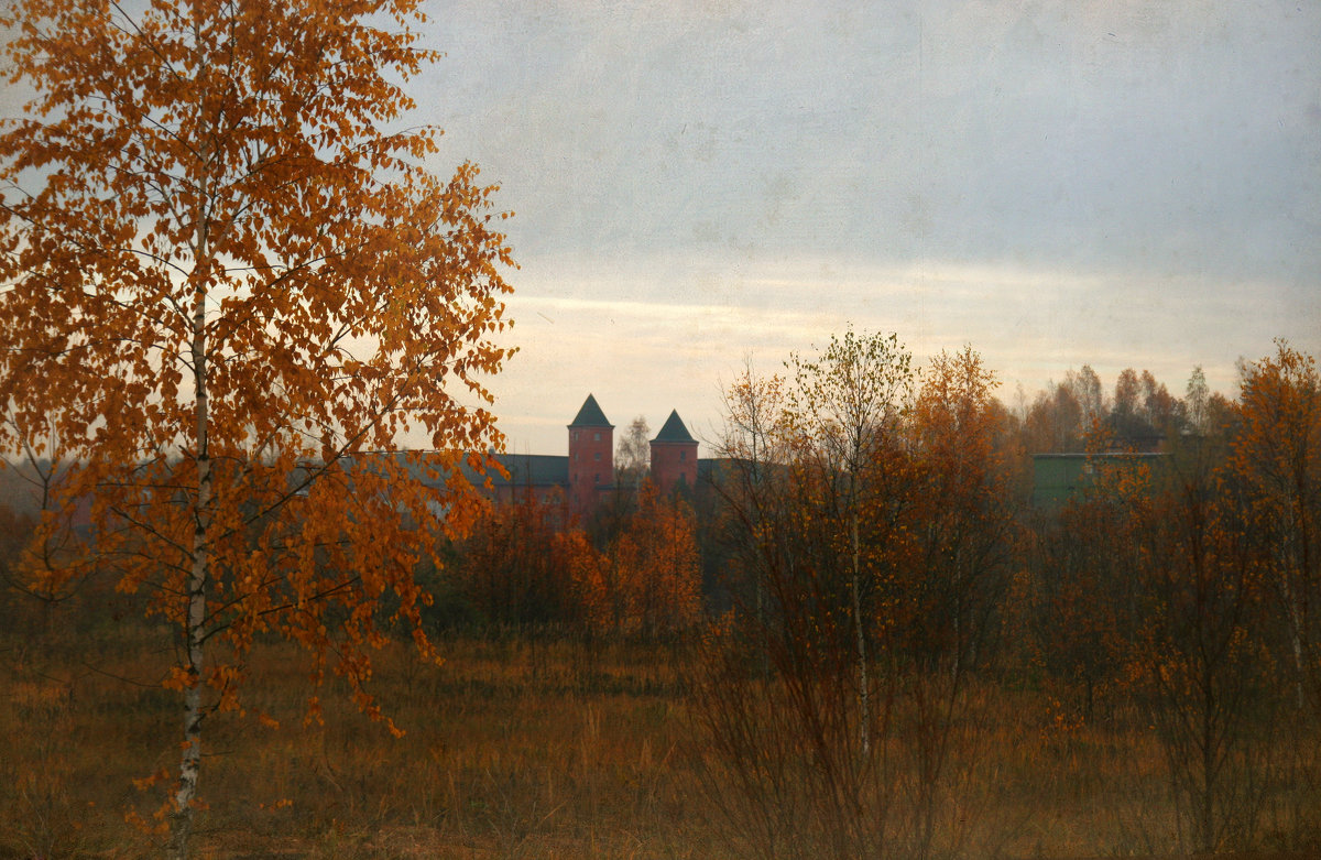Осень в Подмосковье. - lady-viola2014 -