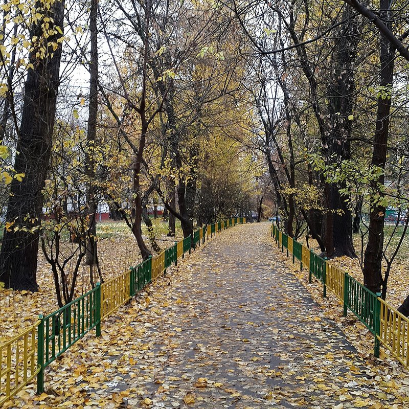 Осень - Елена Каталина
