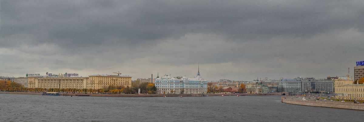 Петроградская набережная - Наталия Крыжановская