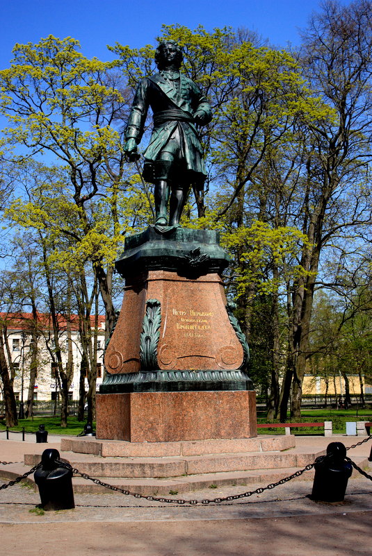 Памятник Петру 1 - Михаил Ильяшевич