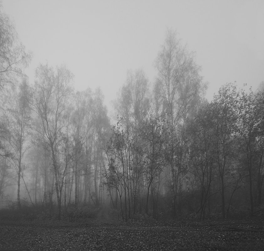 Осенний туман - Алексей Хвастунов