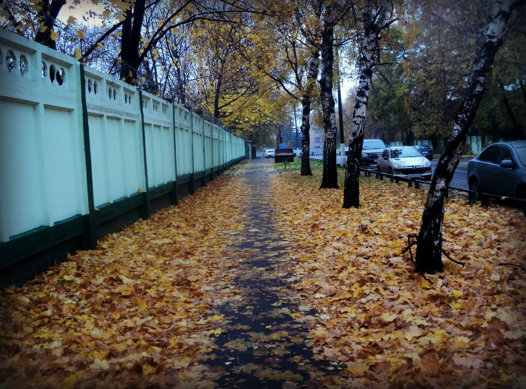 Осенний тротуар - Ольга Кривых