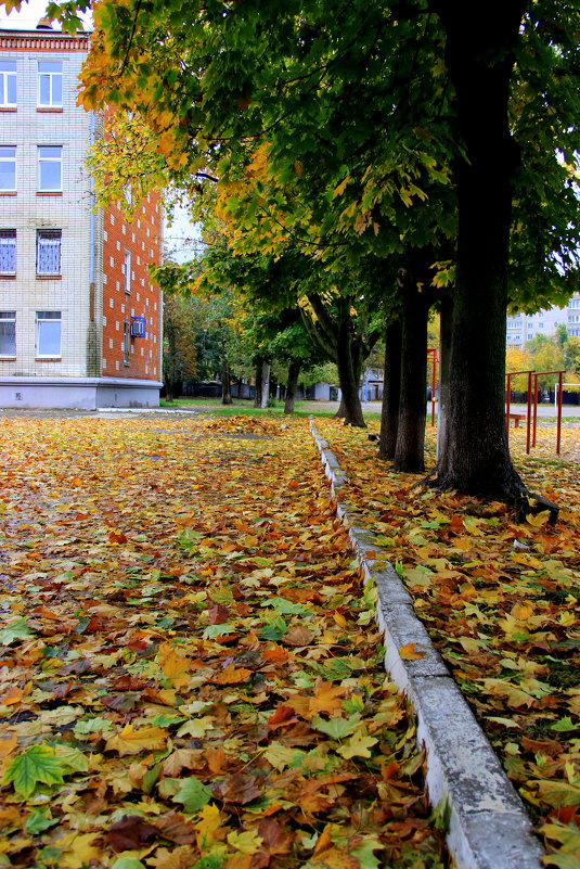 * - Полина Воркачева