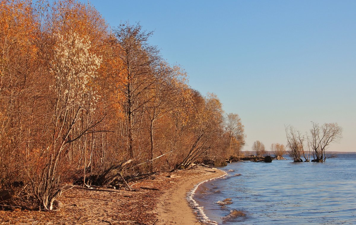 Осень на берегу. - Галина .