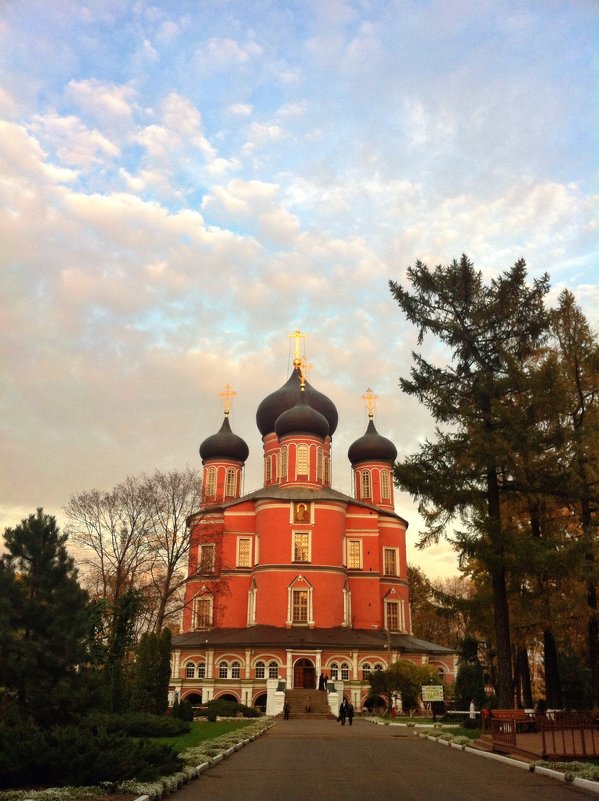 Донской монастырь главный собор - Ирина Бирюкова