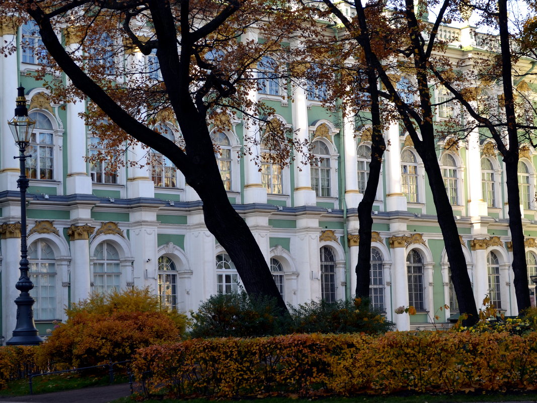 Эрмитаж и осень. - Светлана Никольская