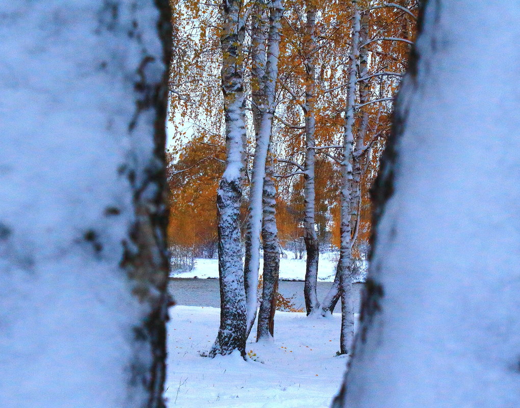 Взгляну на осень сквозь зимы окно - Татьяна Ломтева