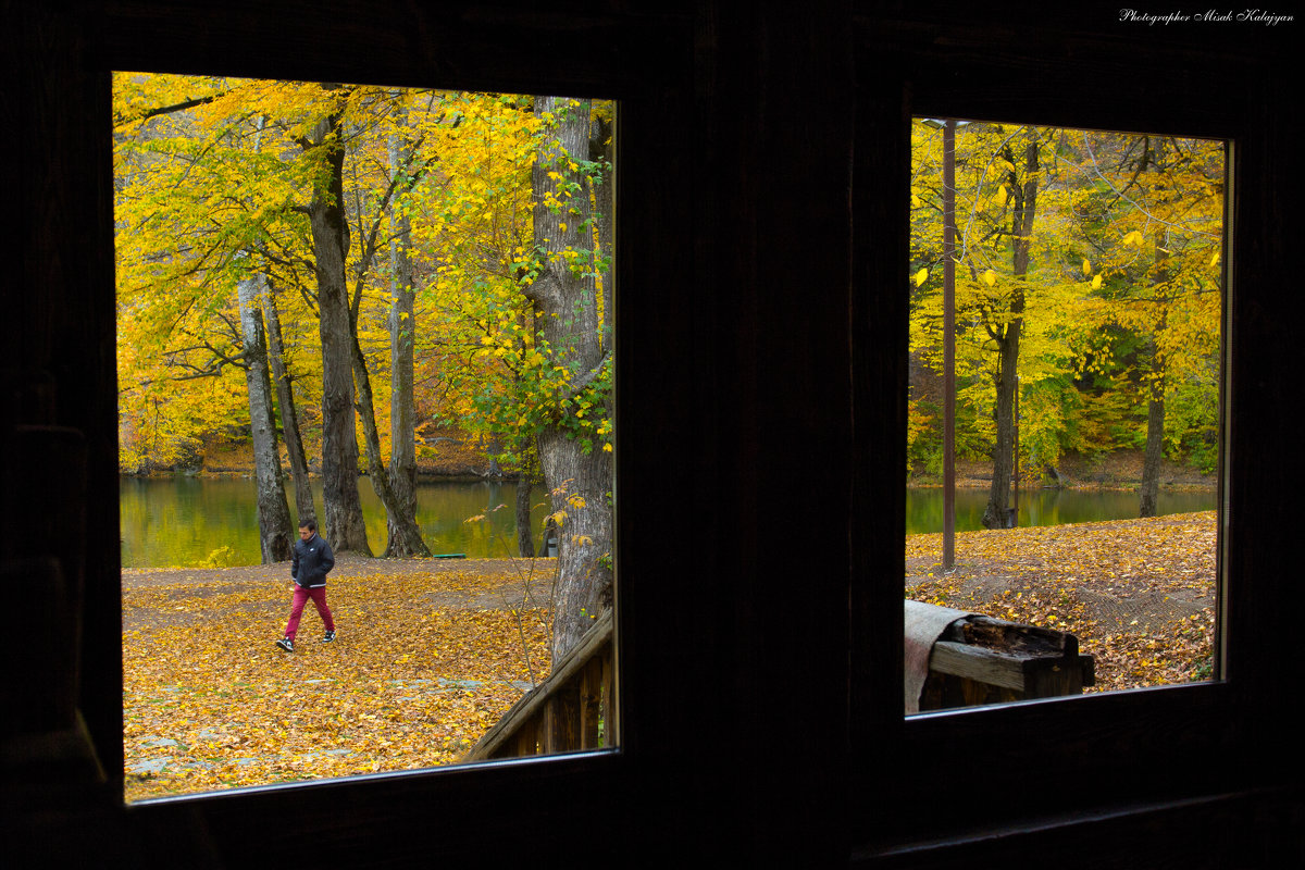 Осень из моего окна... - Мисак Каладжян