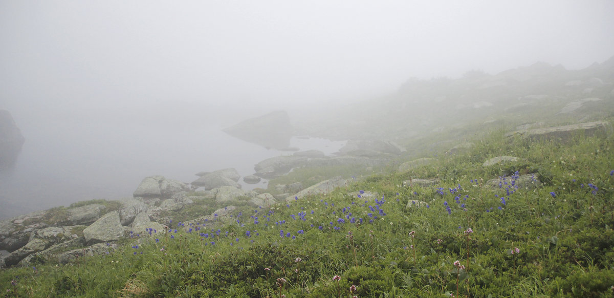 Утренний туман в горах - Алексей Хвастунов