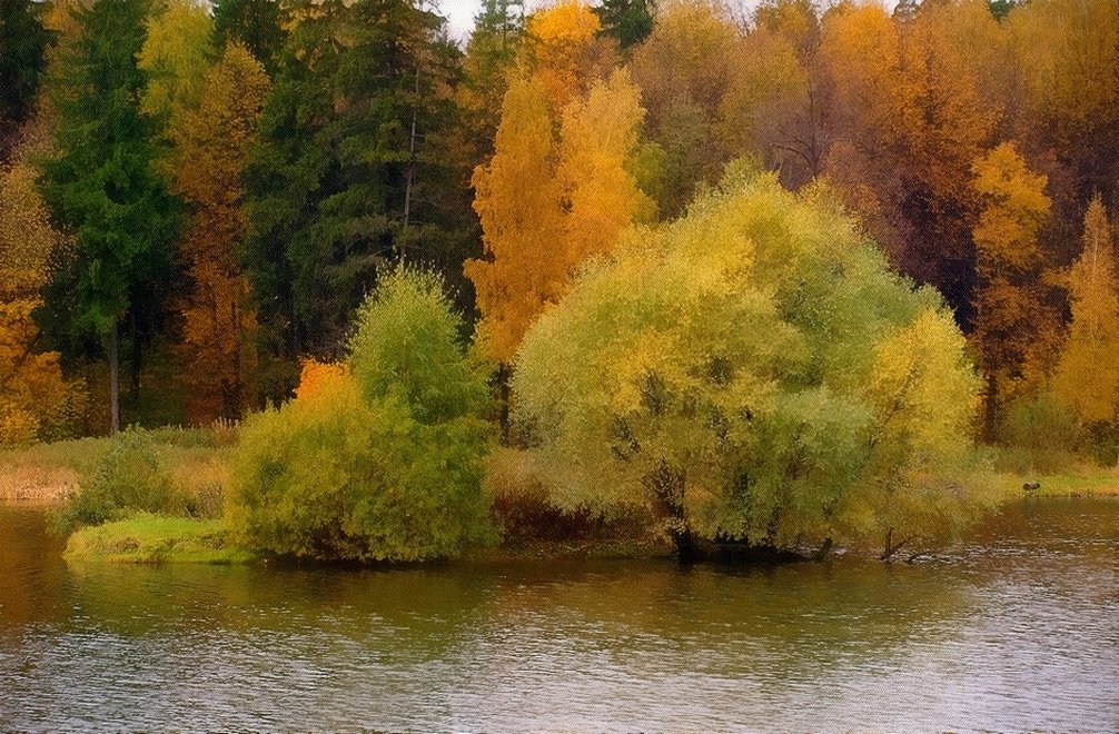 Осень на Долгом пруду - анна нестерова