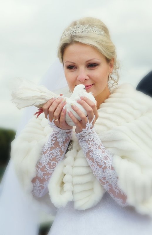 Невеста с голубем - Цветков Виктор Васильевич 