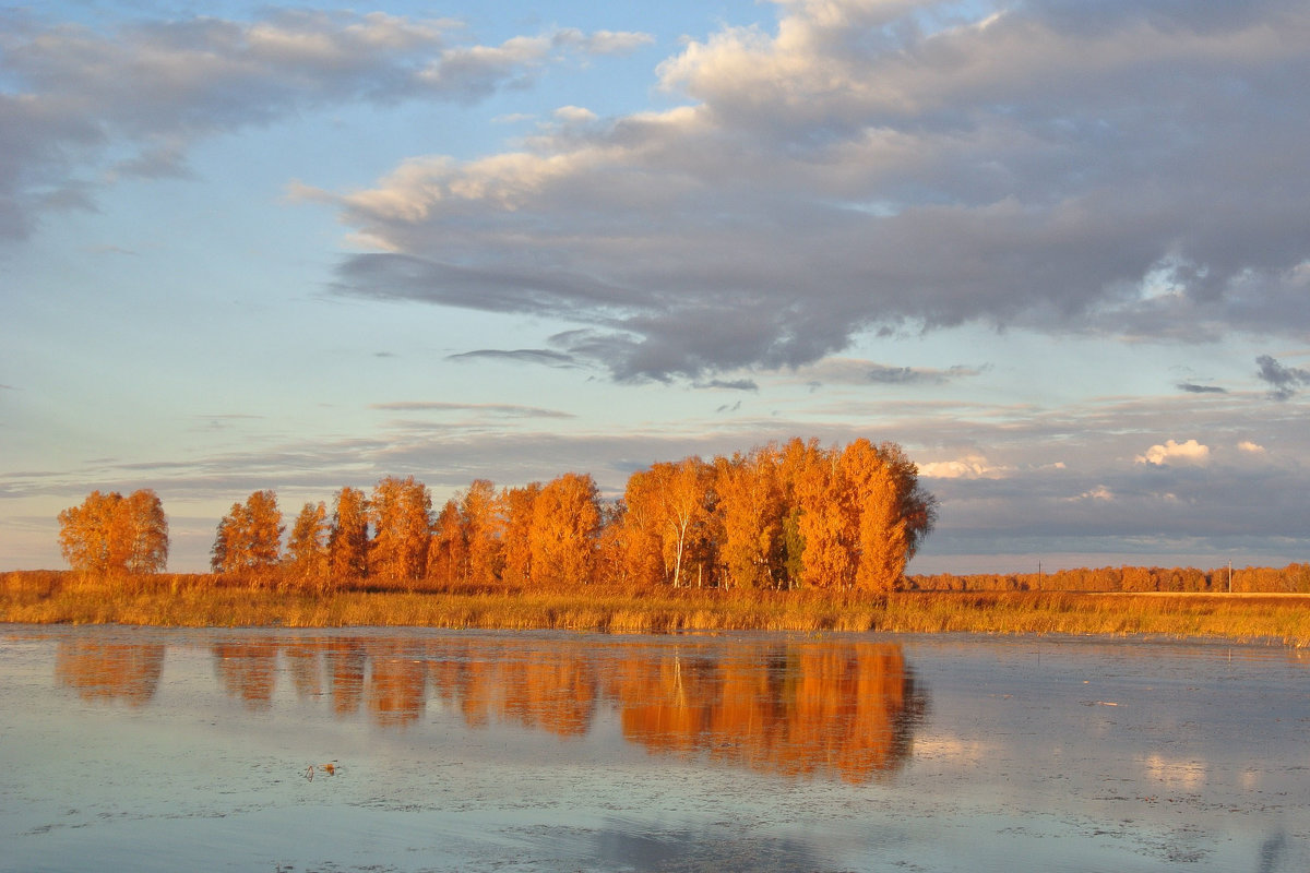 Осенний пейзаж - Андрей 