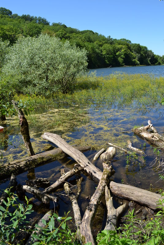 Крым, оз. Черные воды - Тамара Мадюдина