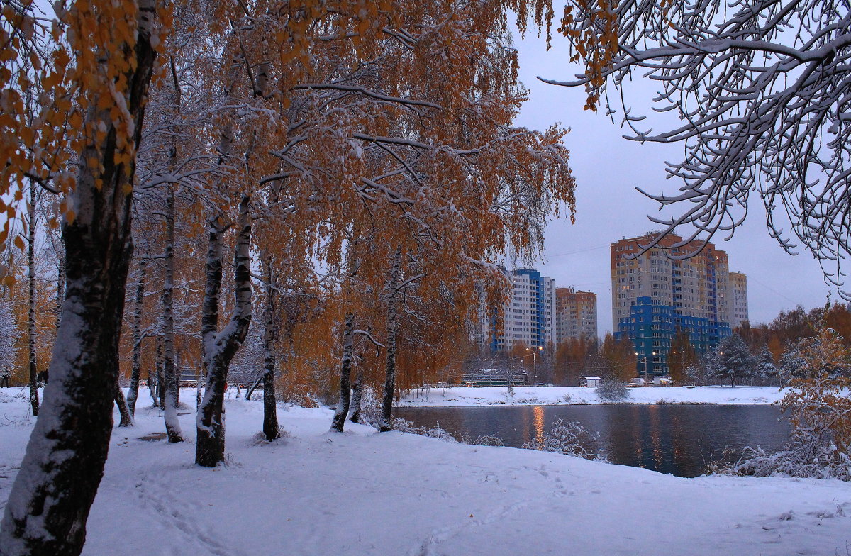 Первый снег в городе - Татьяна Ломтева