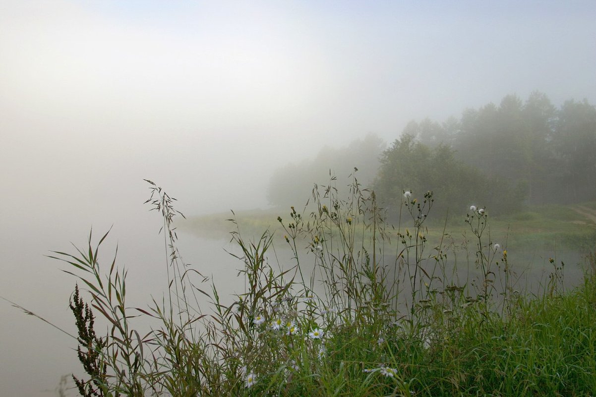 Белый туман - Иркутский дом фотографа 