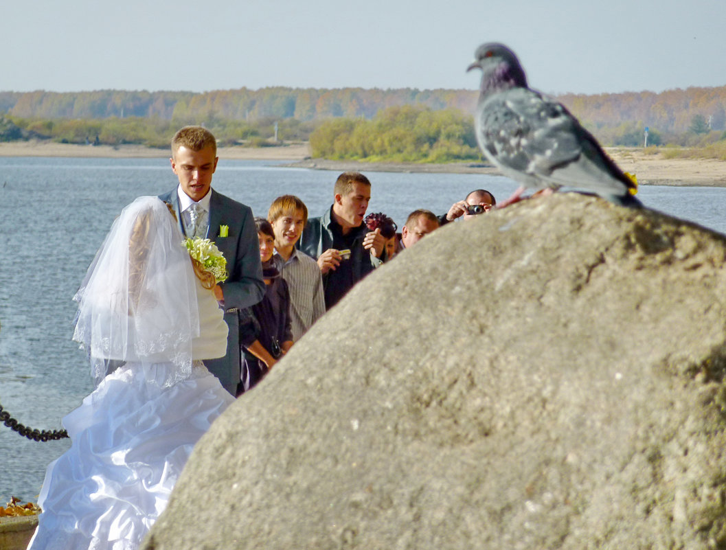 Свадьба в Устье - Валерий Талашов