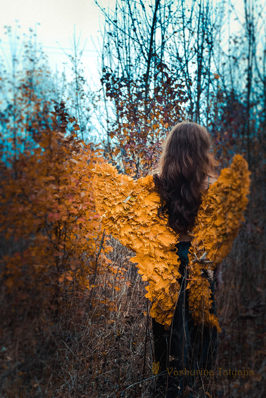 Осенний ангел - татьяна вашурина