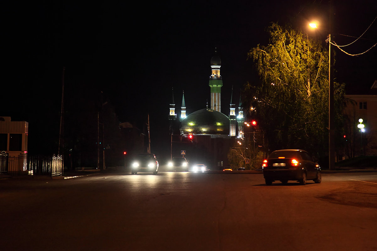 По дороге к мечети - Валерий Князькин
