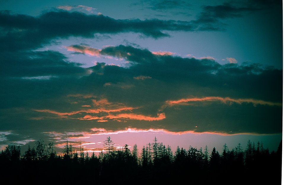 Закат над лесом - Григорий Кучушев