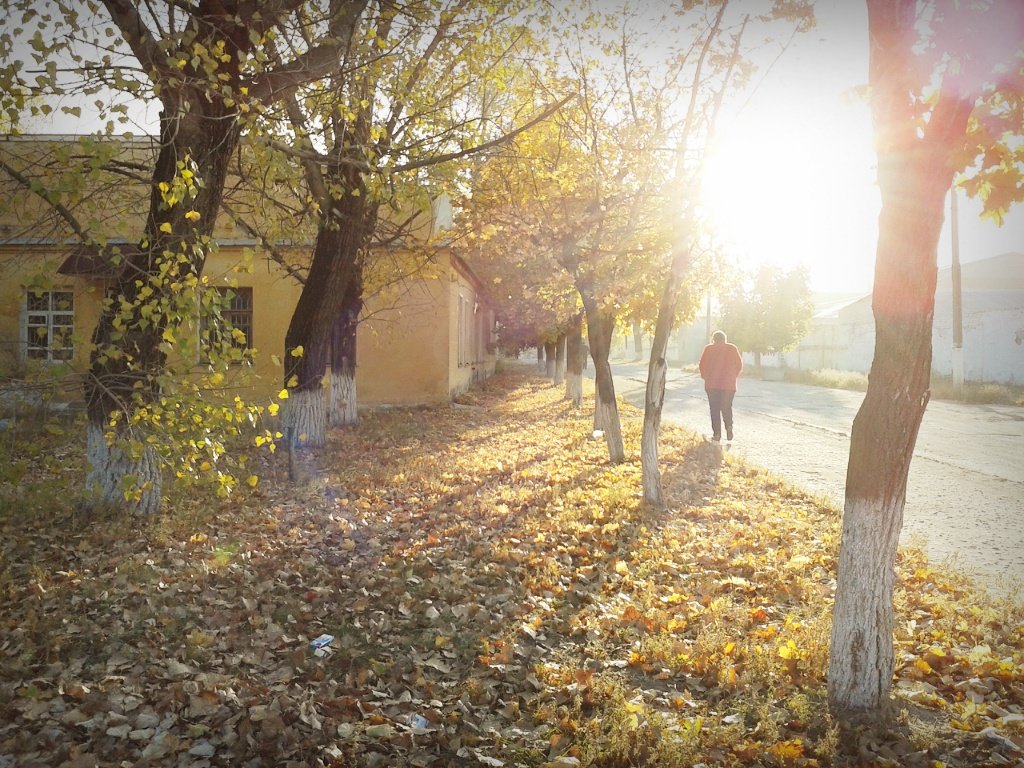 осеннее утро - Юлия Закопайло