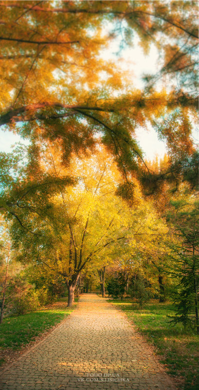 Осення набережная Симферополя - Солнечная Лисичка =Дашка Скугарева